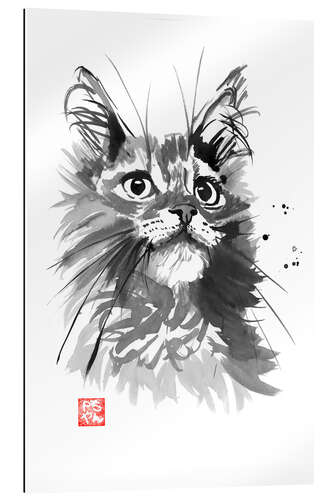 Gallery print Hairy cat