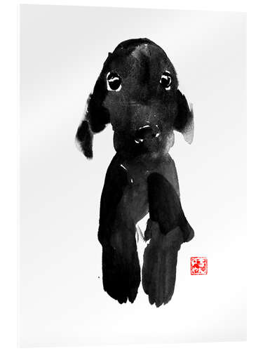 Acrylic print Dog cute