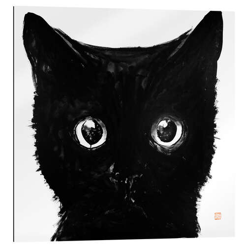 Quadro em plexi-alumínio Gato preto