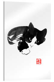 Gallery print Laying cat