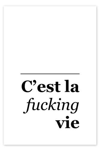Poster C'est la f*** vie