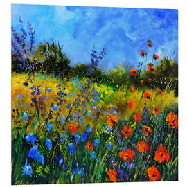 Foam board print Blue sky over a wildflower field