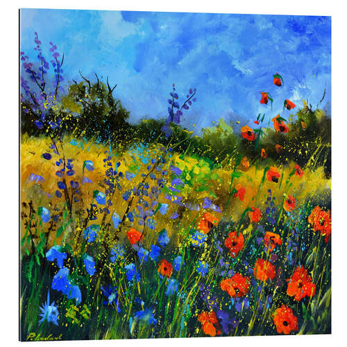 Galleriataulu Blue sky over a wildflower field