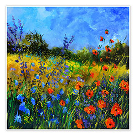 Veggbilde  Blue sky over a wildflower field - Pol Ledent