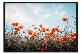Gerahmter Kunstdruck Mohnfeld vor blauen Himmel