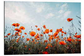 Magnettafel Mohnfeld vor blauen Himmel
