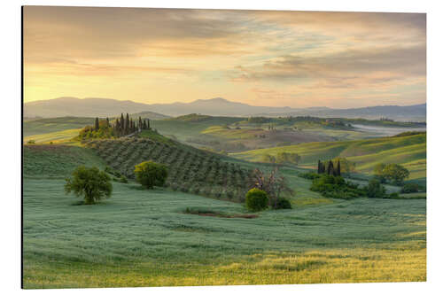 Stampa su alluminio Toscana alla luce del primo mattino