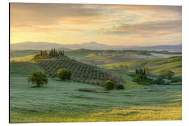 Aluminium print Tuscany in the early morning light