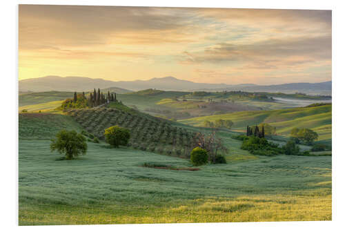 Tableau en PVC La Toscane à l'aube