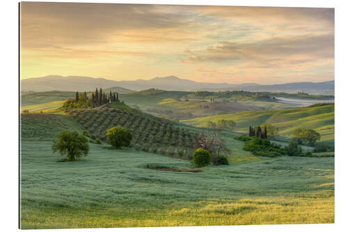 Galleritryk Tuscany in the early morning light