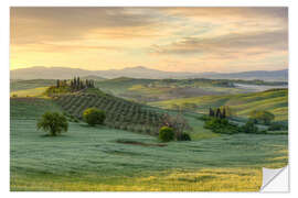 Selvklebende plakat Tuscany in the early morning light