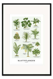 Gerahmter Kunstdruck Blattpflanzen