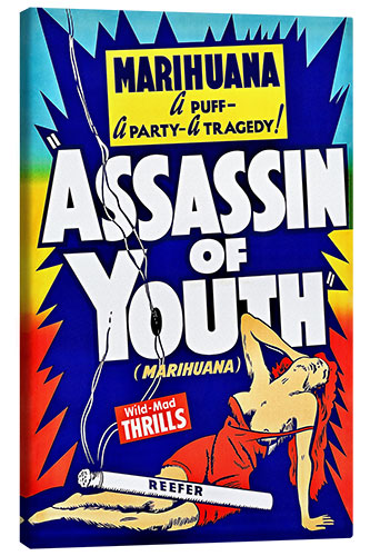 Stampa su tela Assassin of Youth