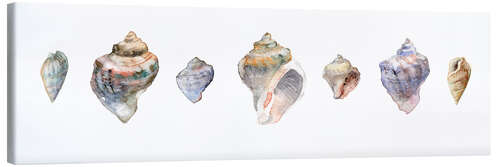 Canvas print Seashells watercolor