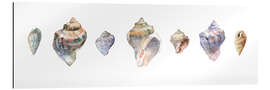 Gallery print Seashells watercolor