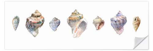 Selvklæbende plakat Seashells watercolor