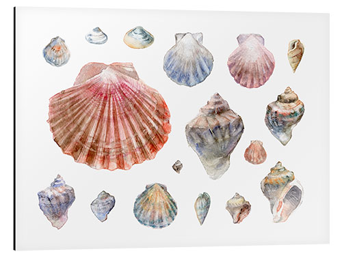 Aluminium print Seashells Collection Watercolor