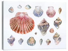 Canvas print Seashells Collection Watercolor