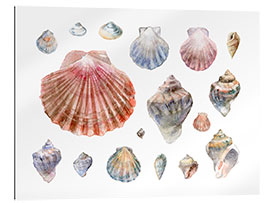 Gallery print Seashells Collection Watercolor