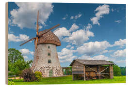 Wood print Windmill on a farm