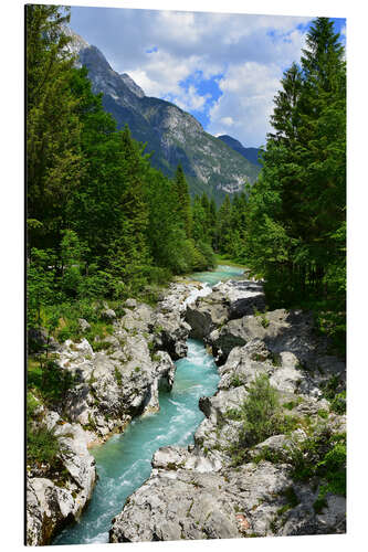 Obraz na aluminium Wild stream in Slovenia