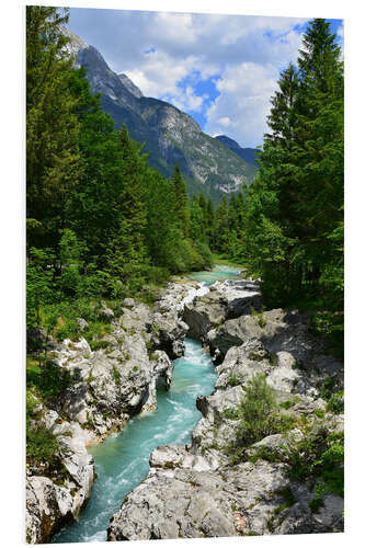 Foam board print Wild stream in Slovenia