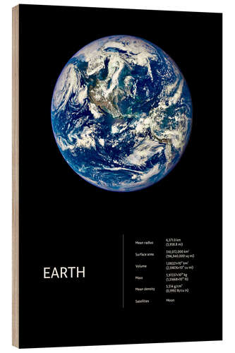 Hout print Earth (English)