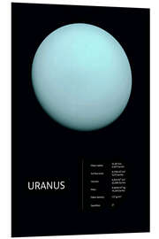 Foam board print Uranus (English)