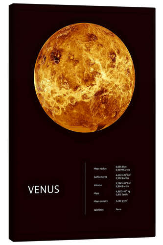 Canvas print Venus