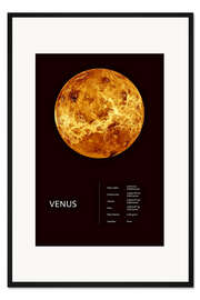 Gerahmter Kunstdruck Venus (englisch)