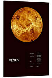 Magnettafel Venus (englisch)