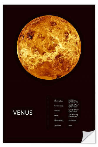 Wall sticker Venus