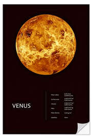 Selvklebende plakat Venus