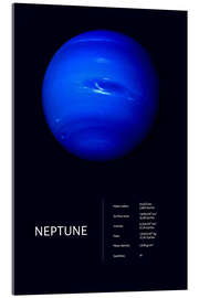 Acrylic print Neptune (English)