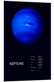 Foam board print Neptune (English)