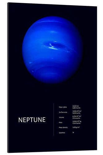 Galleriprint Neptune (English)