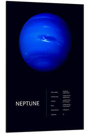Magnettafel Neptun (englisch)