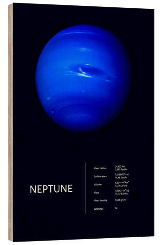 Puutaulu Neptune (English)