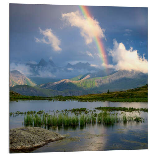 Aluminiumtavla Rainbow in the Alps