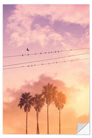 Wall sticker Birds on a wire