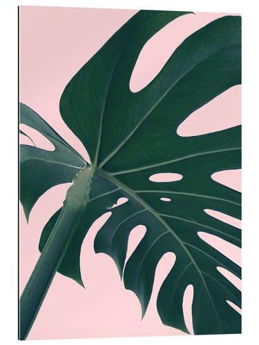 Gallery print Monstera Portrait