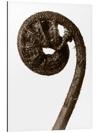 Magnettafel Blatt eines Wurmfarns