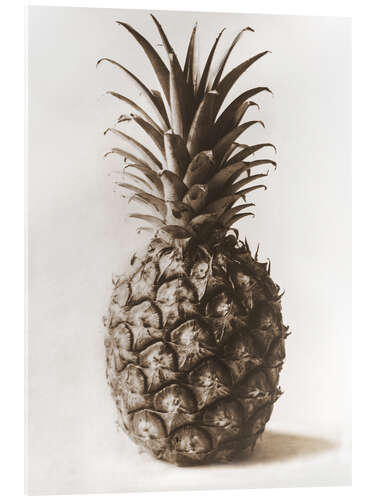 Acrylic print Pineapple