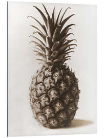 Aluminium print Pineapple