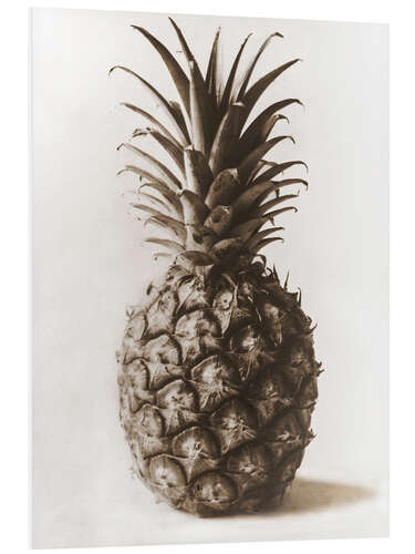 Foam board print Pineapple