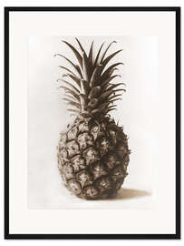 Gerahmter Kunstdruck Ananas