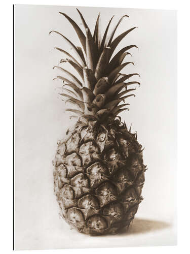 Gallery print Pineapple