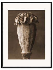 Gerahmter Kunstdruck Orientalischer Mohn I