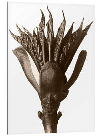 Magnettafel Urformen der Kunst 33