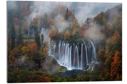 Gallery print Plitvice Lakes National Park with fog